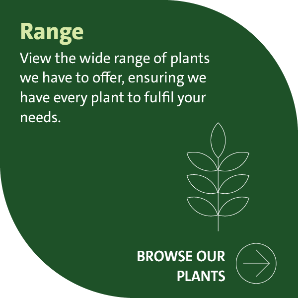 Greenfingers Block - Range