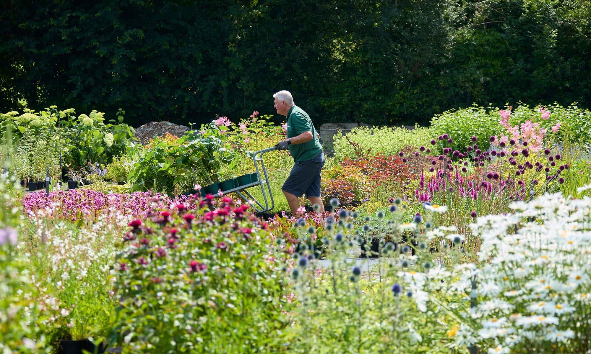 Greenfingers slider - John Chiffers working