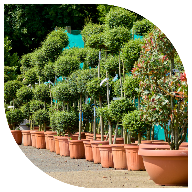 Greenfingers Masked Imaged - Plants In Pots