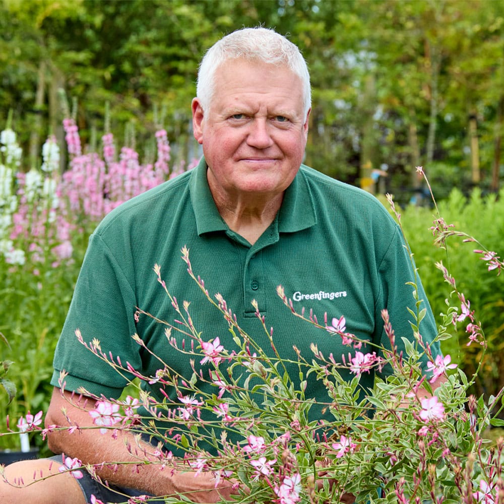 Greenfingers Staff - John Chiffers