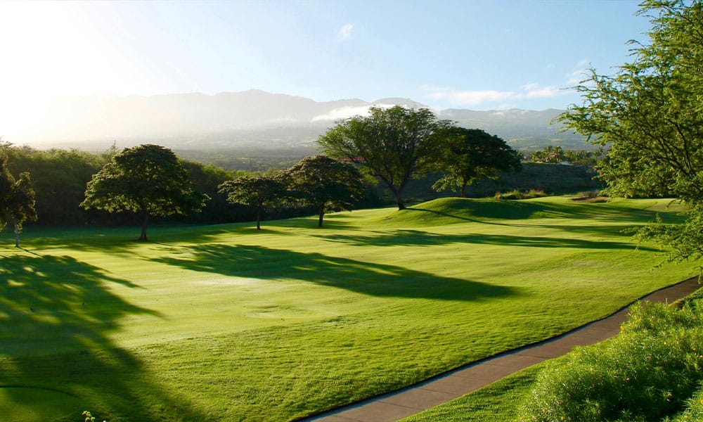 Greenfingers Business Sector image - Venues golf course