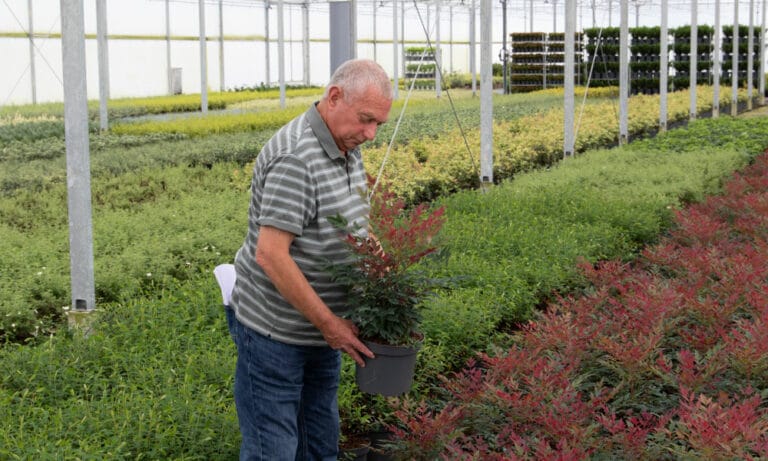 Greenfingers News Image - Alan's Plant Expedition Alan 2