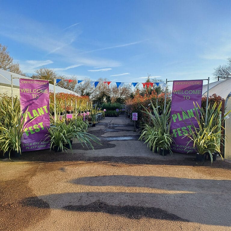 Thank You For Making Plant Fest A Success Featured Image