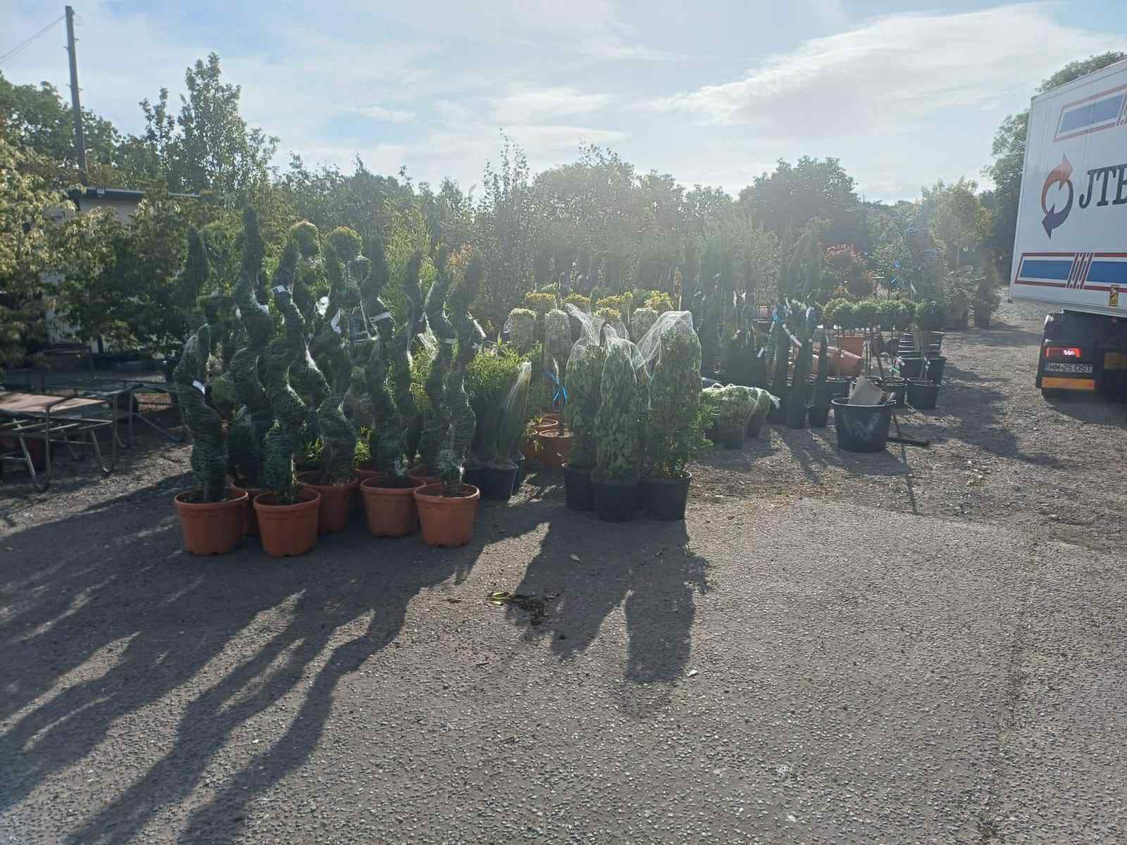 New Arrivals 4 At Greenfingers 8 Aug 25
