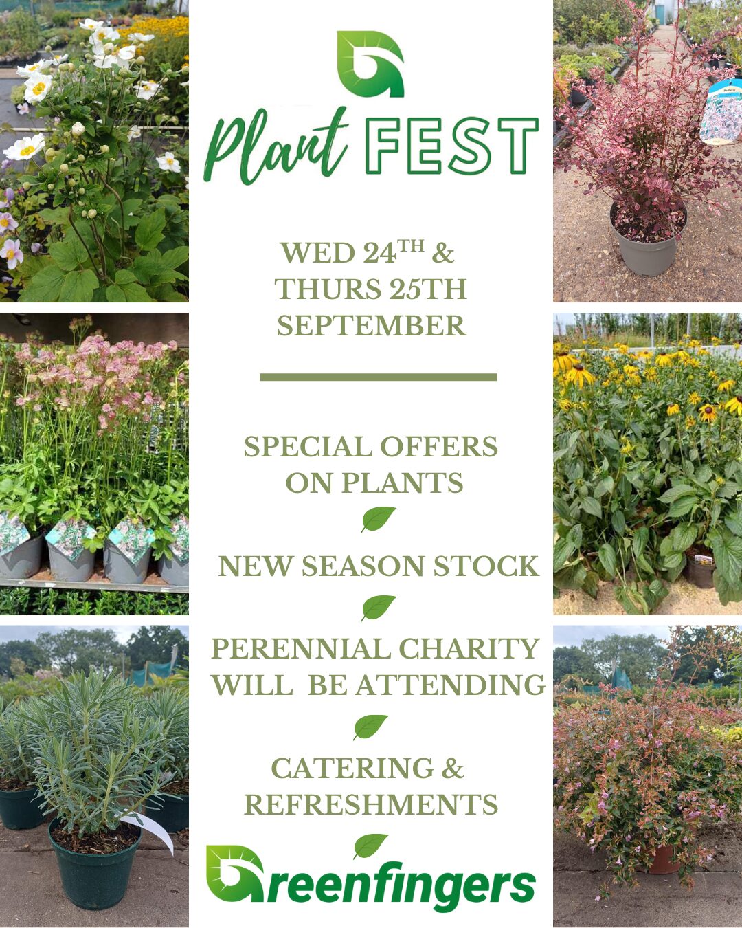 Autumn PlantFest