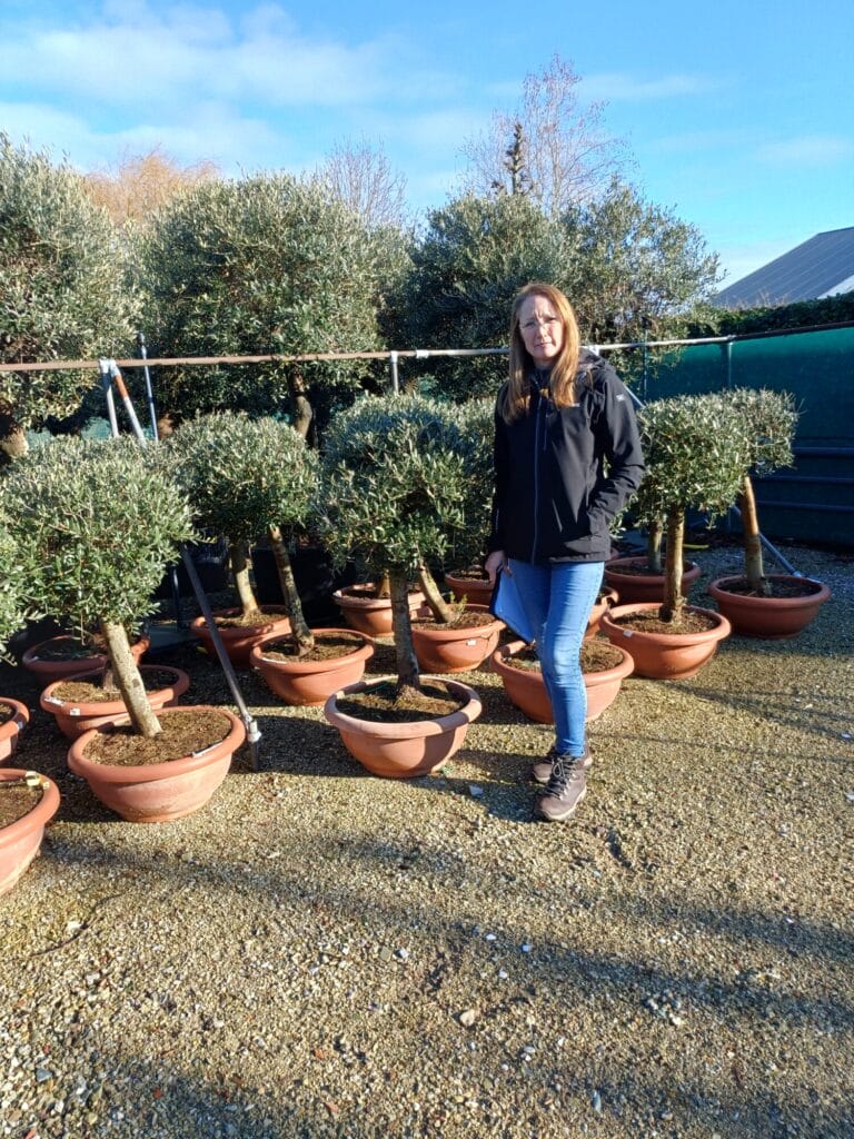 New Arrivals from Holland coming soon